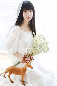 中文字幕在线不卡一区二区