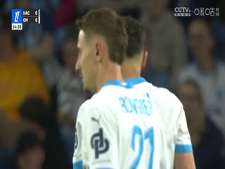 国产色婷婷国产综合在线A理论片
