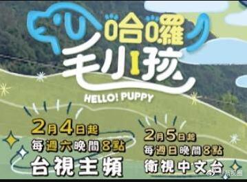 全网的亚洲邪术在线观看