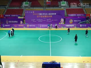 丝袜人妻复仇