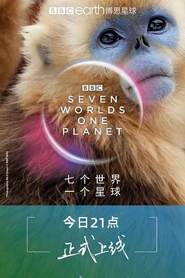 久久网无码人妻