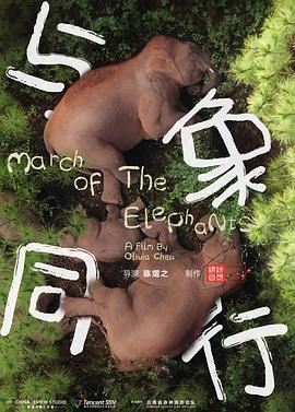 热本成人在线视频