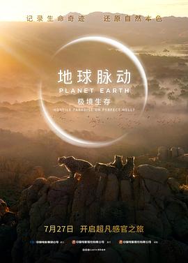 bt福利无码