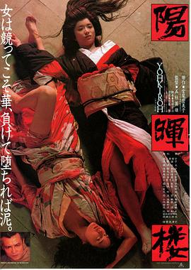 手机相机里的ev和av
