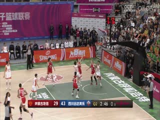 成人毛片在线高网站