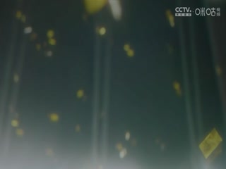 大香蕉1费视宗合视频