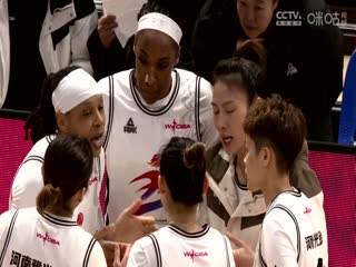国产视讯精品之女教授系