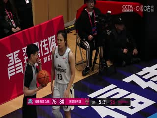 熊的午夜后宫4视频
