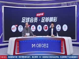 手机中文久久av