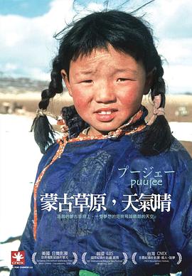 fest无码番号