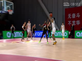 日韩斑马